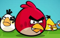 Angry birds
