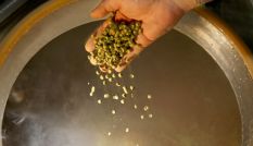 Florida Lawmakers Pass Bill That Bans State Breweries From Selling 64 Ounce Growlers